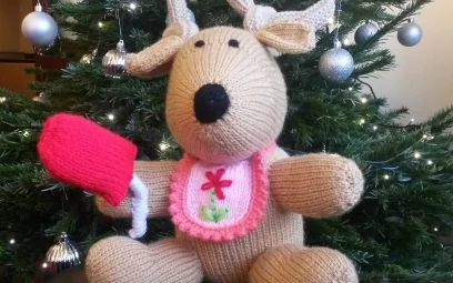 Knitted reindeer for charity raffle in aid of Cash For Kids