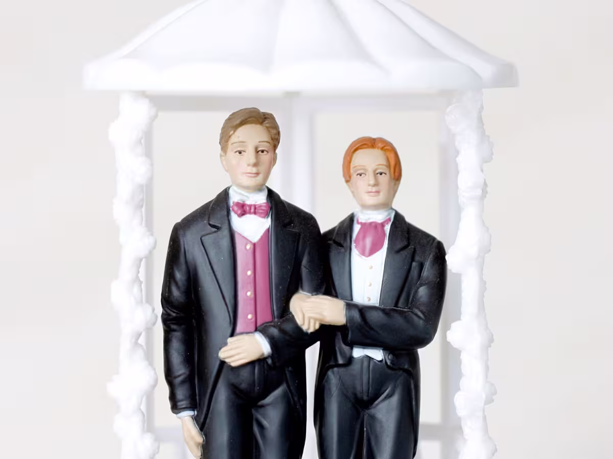 Same sex marriage groom cake toppers