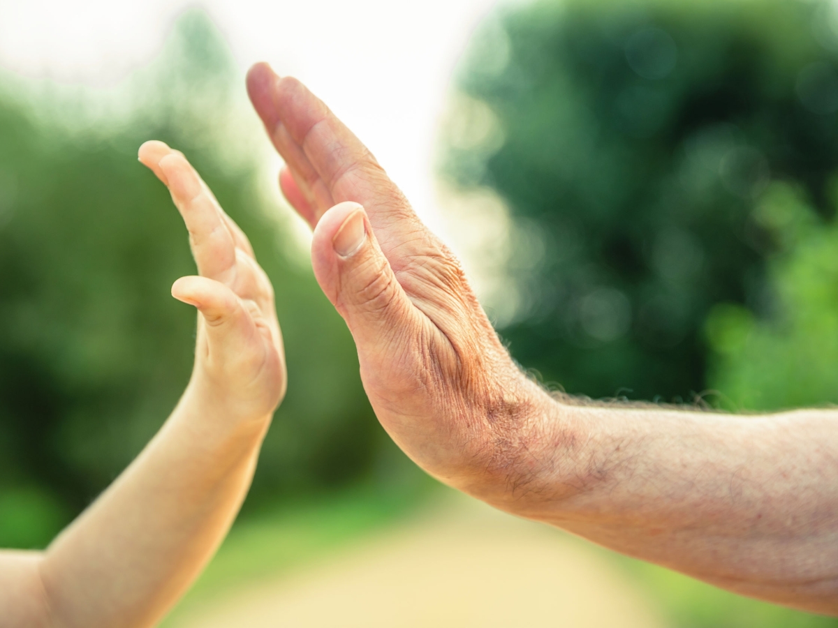 The repercussions of not making a will The repercussions of not making a will
