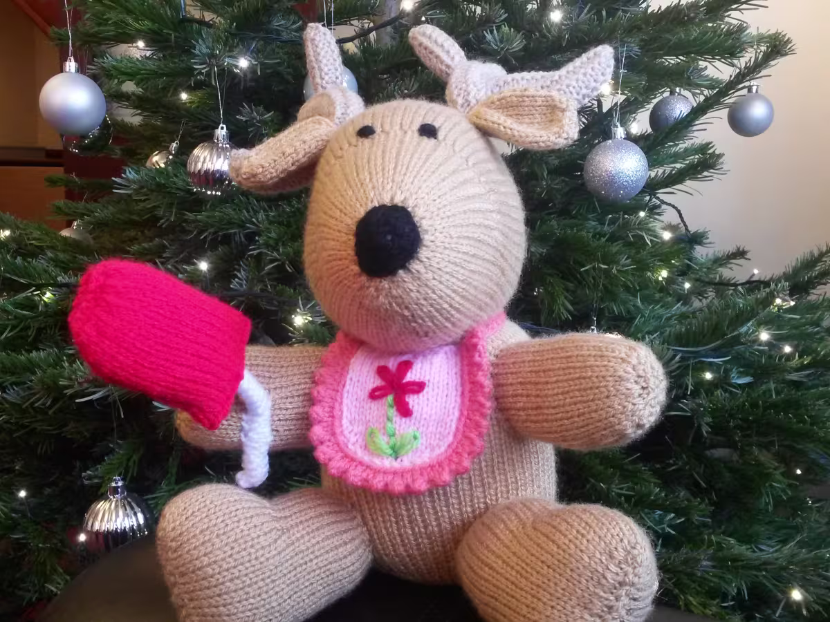 Knitted reindeer for charity raffle in aid of Cash For Kids
