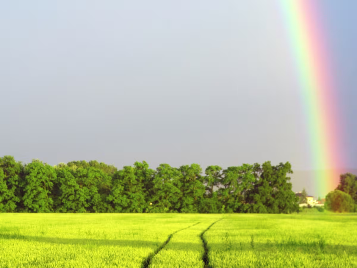 Leaving charitable gifts in your will