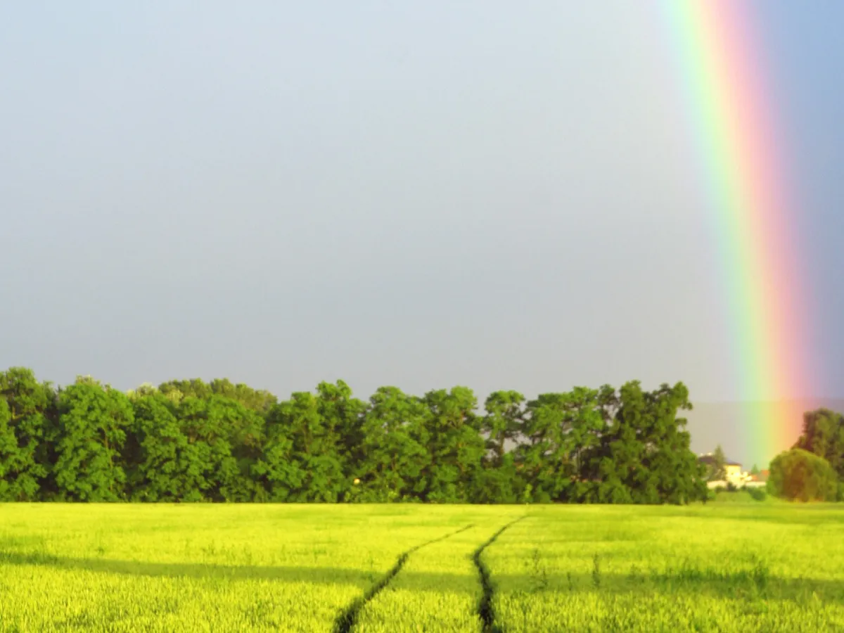 Leaving charitable gifts in your will