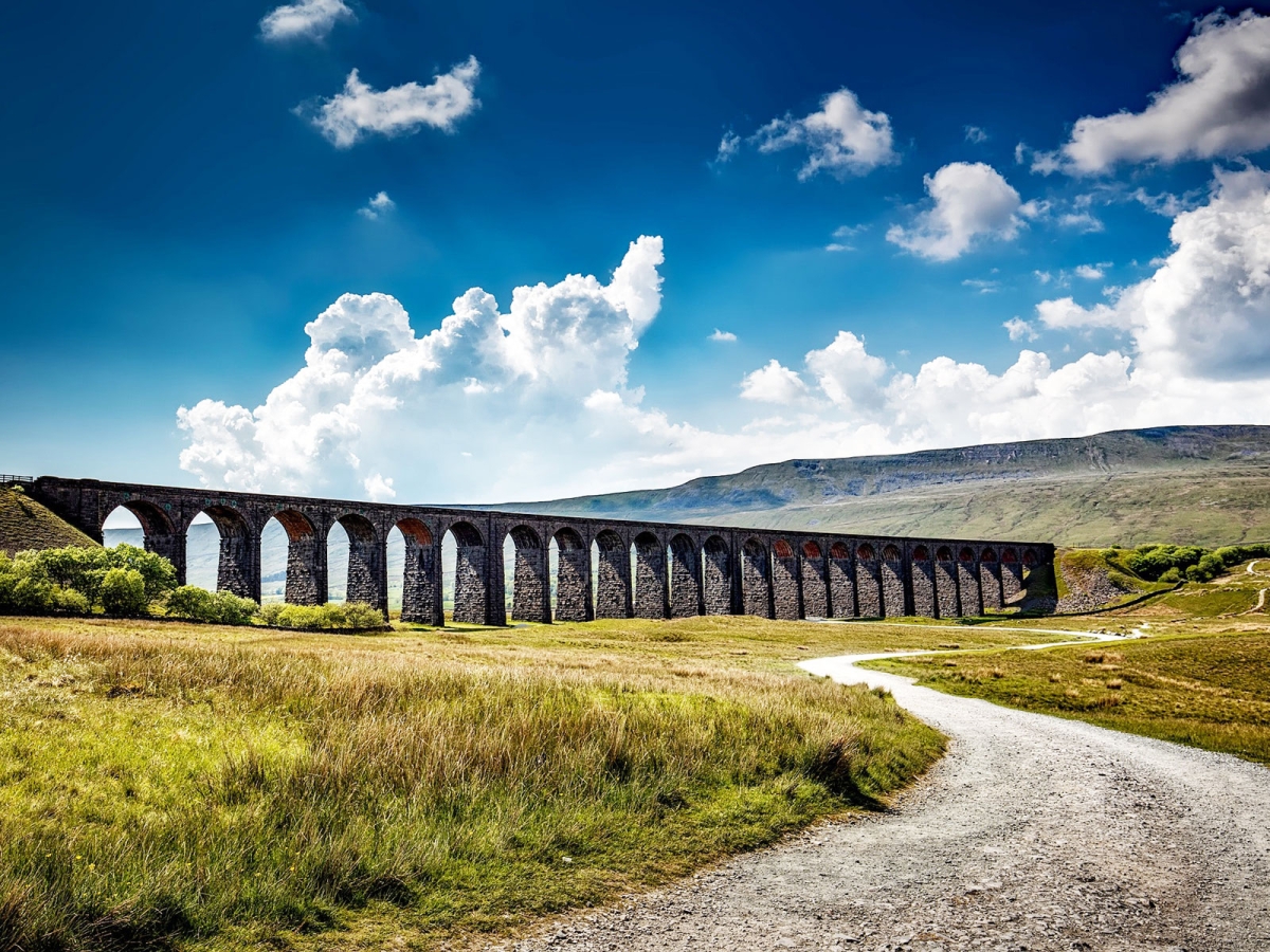 Happy Yorkshire Day! winston-solicitors-yorkshire-day