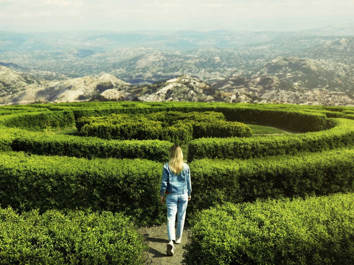 5 Crucial Points to Add to Your Divorce Action Plan winston-solicitors-divorce-action-plan