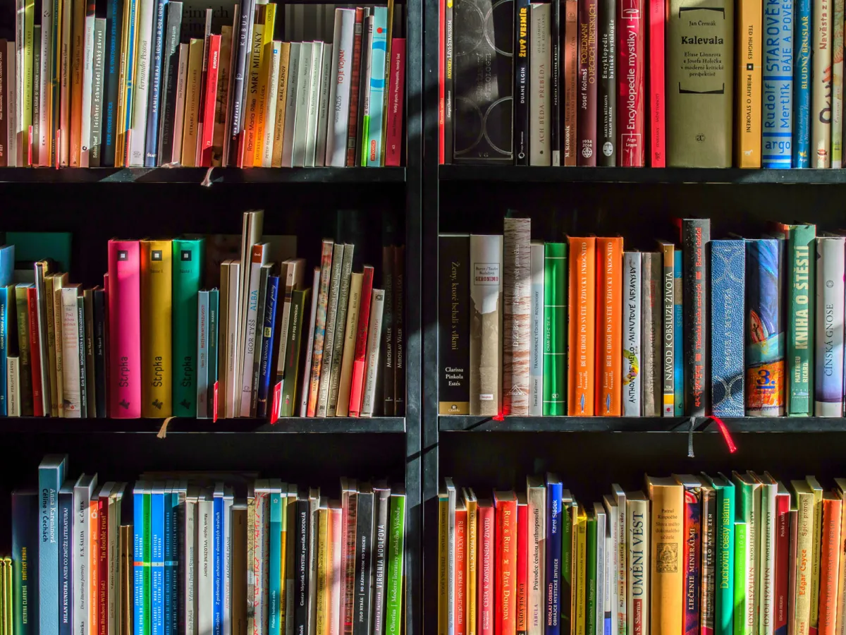 Winston Solicitors Recommend their Favourite Reads for World Book Day 2024 winston-solicitors-world-book-day-2024