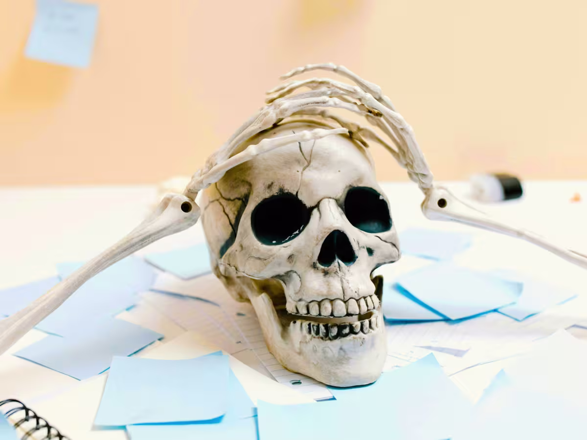 winston-solicitors-family-law-leeds-halloween.jpg