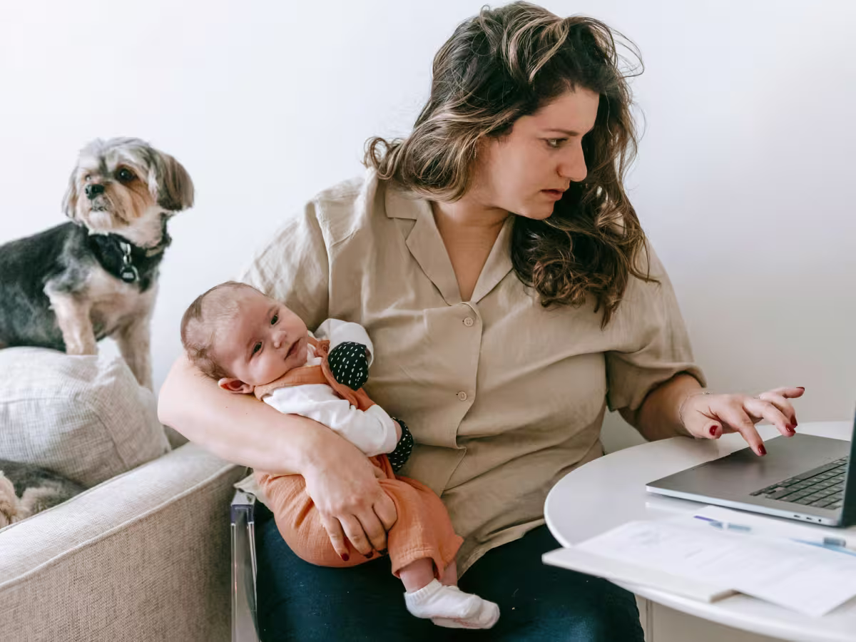 winston-solicitors-family-employment-law.jpg