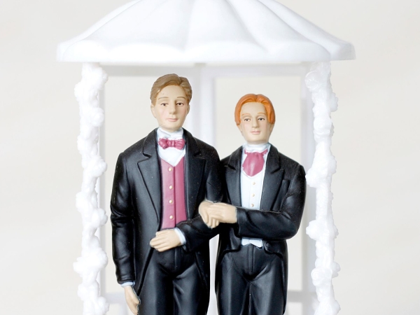 Same sex marriage groom cake toppers