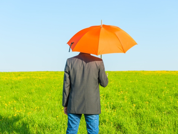 Prenuptial agreements