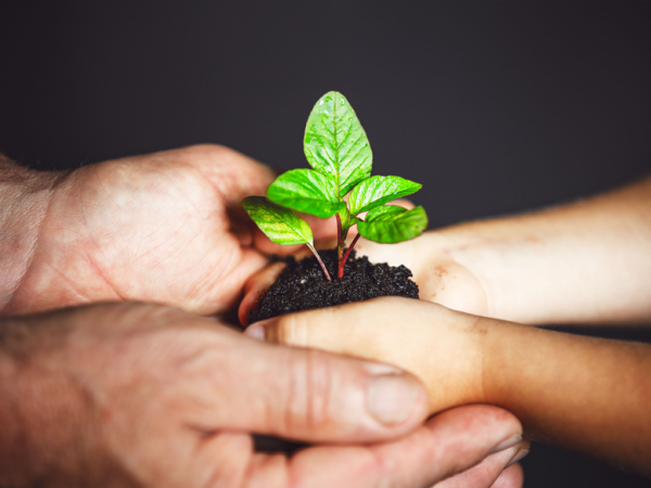 Preserve family wealth and inheritance
