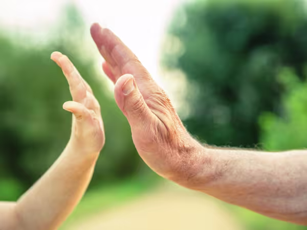 The repercussions of not making a will 