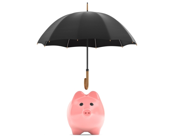 Umbrella over piggy money bank protecting savings
