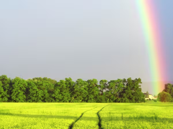 Leaving charitable gifts in your will