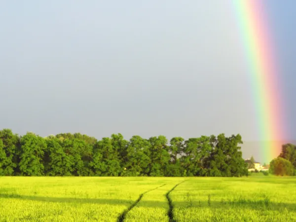 Leaving charitable gifts in your will