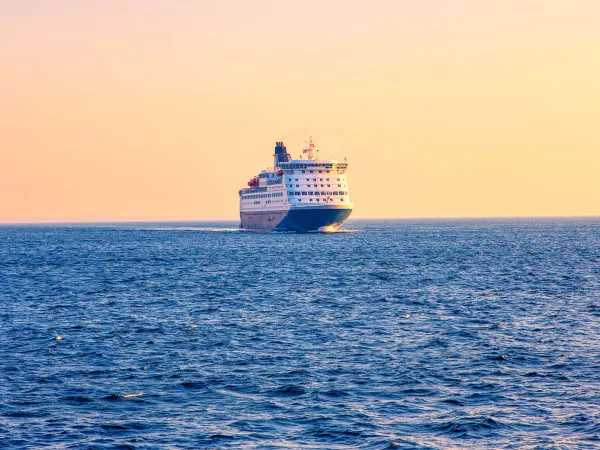 P&O Ferries shock sacking 800 workers