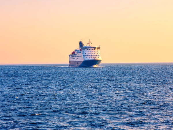 P&O Ferries shock sacking 800 workers