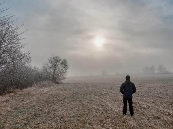 Managing The Bureaucracy Of A Bereavement 