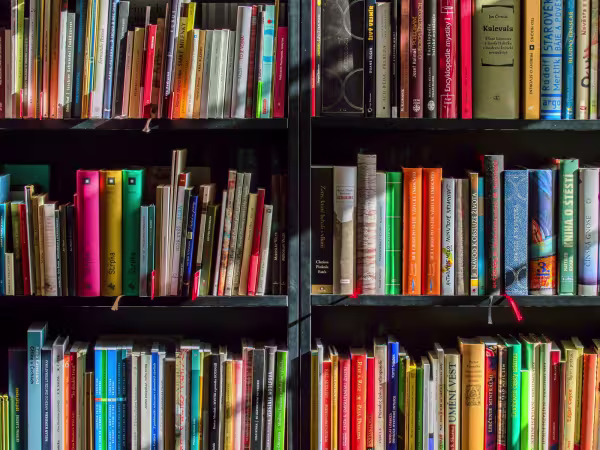 winston-solicitors-world-book-day-2024