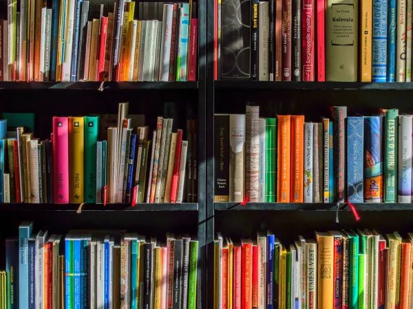 winston-solicitors-world-book-day-2024