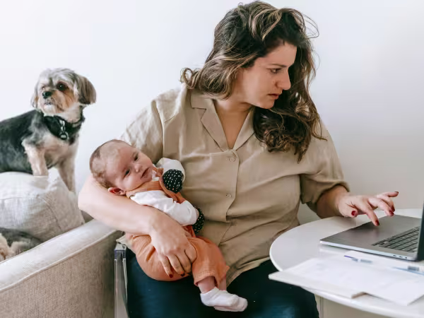 winston-solicitors-family-employment-law.jpg