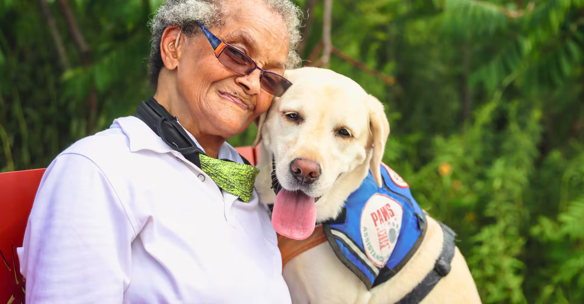 Paws and Provisions – A Simple Guide to Including Pets in Your Will winston-solicitors-including-pets-in-your-will-dementia-action-week.jpg