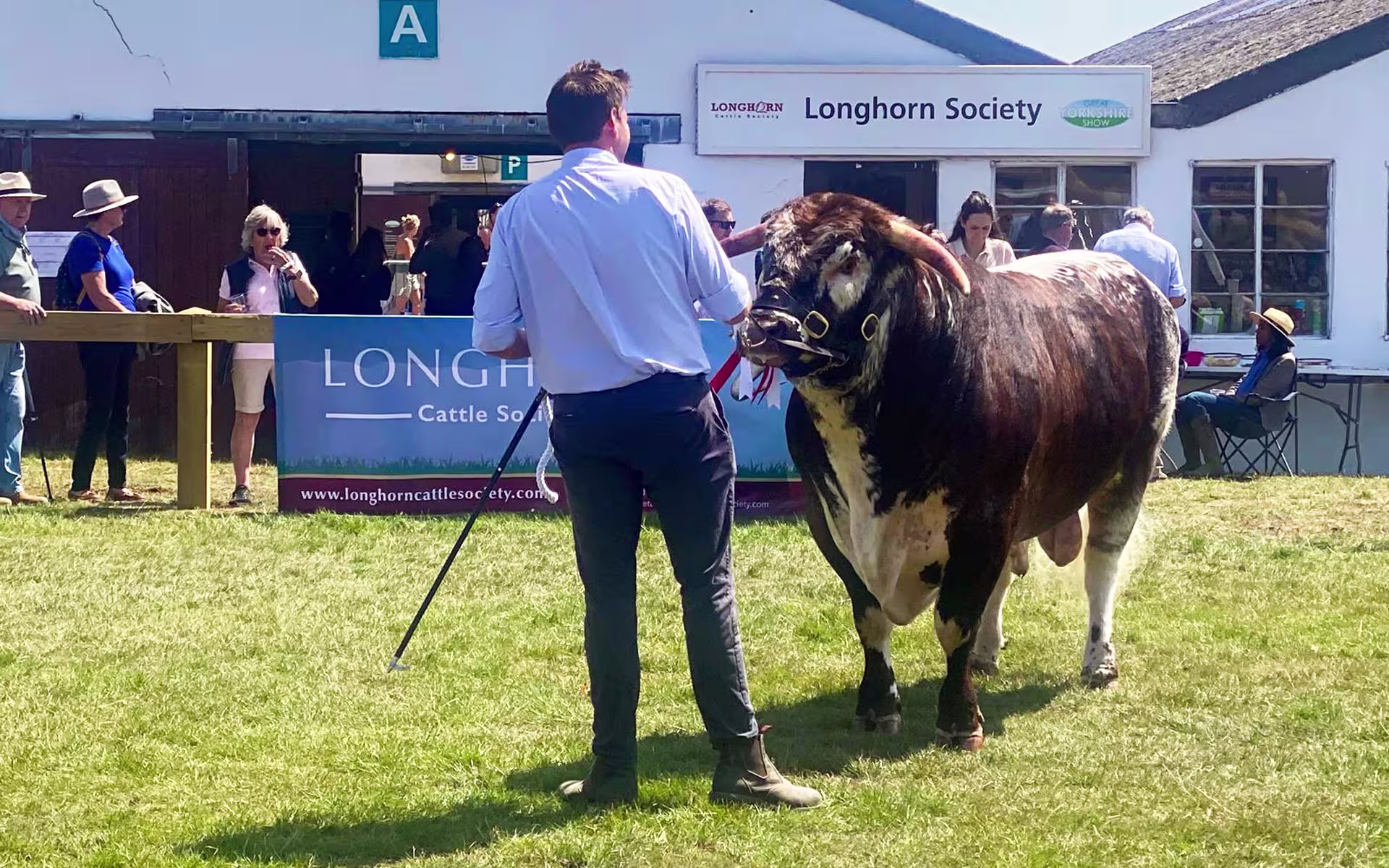Family Law Planning - What We Learnt at the Great Yorkshire Show winston-solicitors-family-law-planning-great-yorkshire-show-longhorn-society.jpg