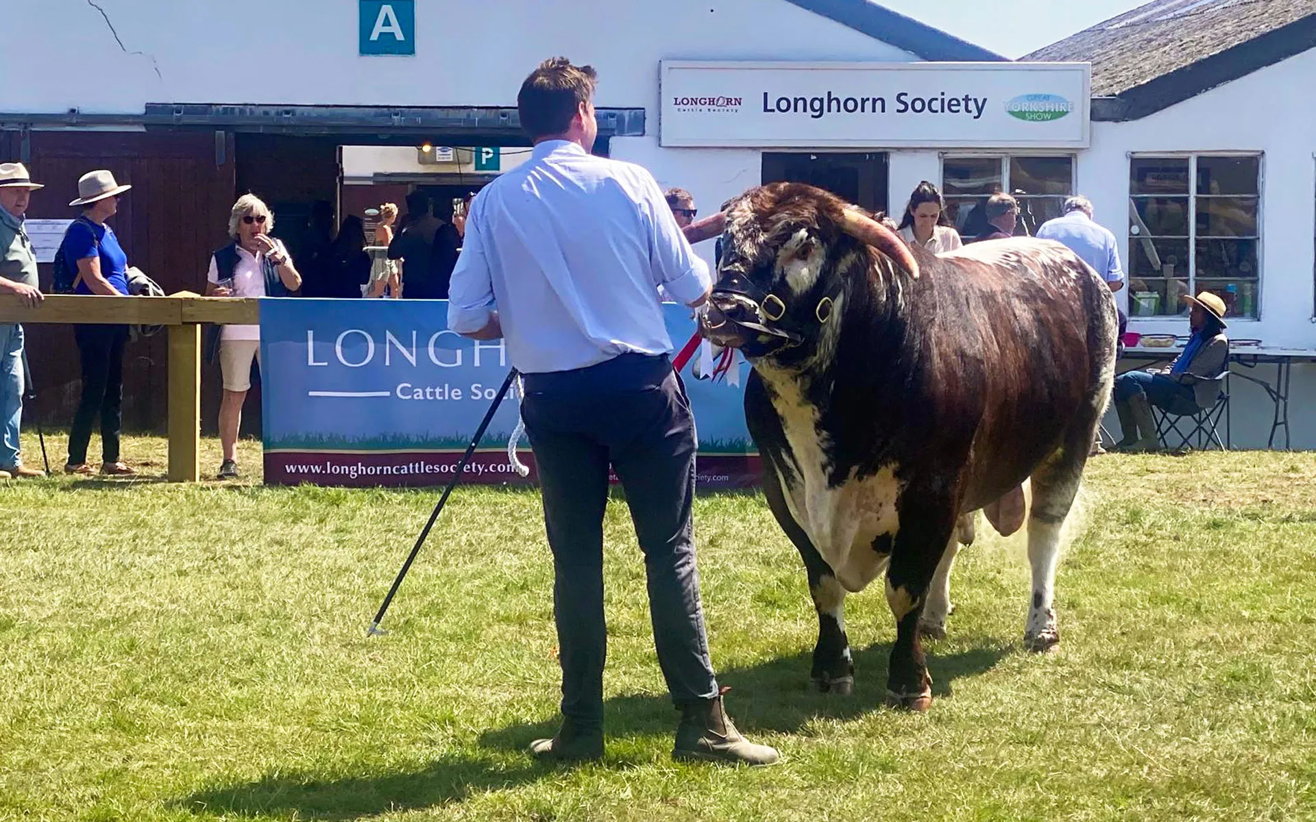 winston-solicitors-family-law-planning-great-yorkshire-show-longhorn-society.jpg