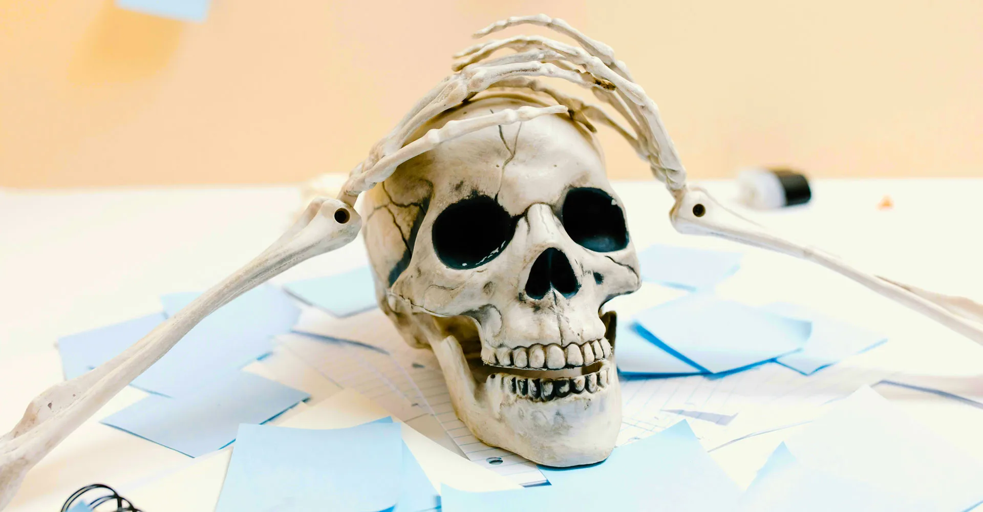 Love, Loss & Legal Chills - Why Family Law Isn’t So Scary After All winston-solicitors-family-law-nationwide-halloween.jpg