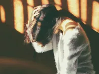 winston-solicitors-cica-abuse-and-assault-spousal-abuse.jpg